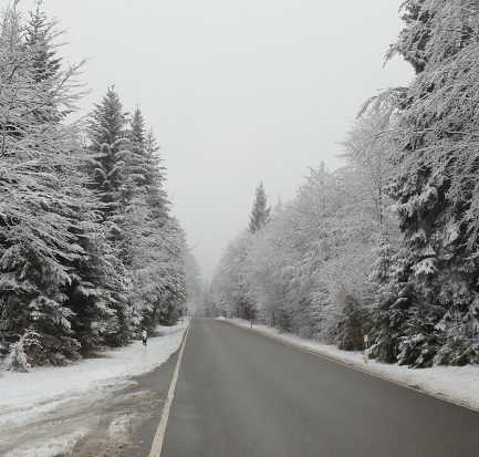 Schnee Schwarzwald